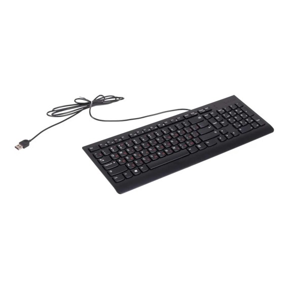 Клавиатура LENOVO 300 USB Keyboard RU Layout (Black) (GX30M39684)