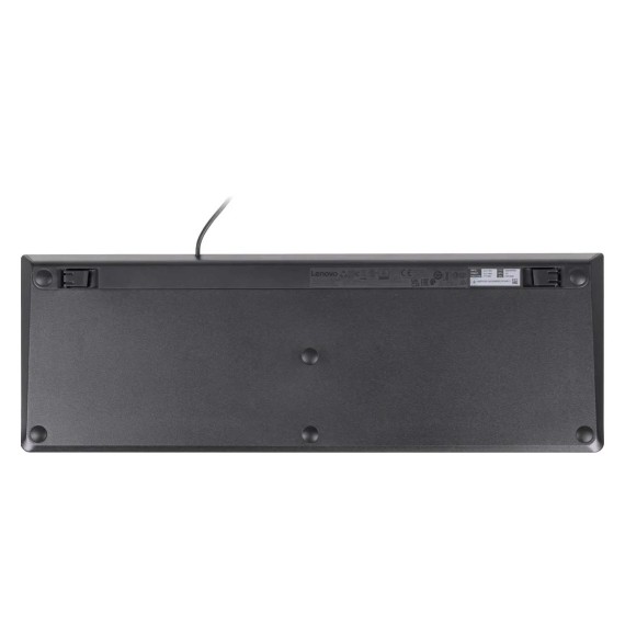 Клавиатура LENOVO 300 USB Keyboard RU Layout (Black) (GX30M39684)