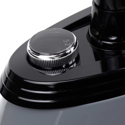 Steamer CENTEK CT-2388 GR 