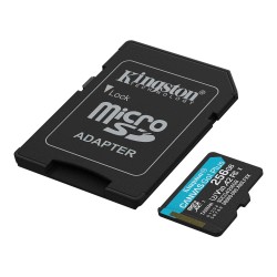 Memory card KINGSTON MICRO SD SDG4/256GB 