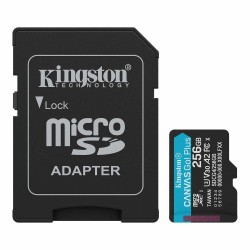 Memory card KINGSTON MICRO SD SDG4/256GB 