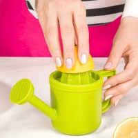 Выжиматели/орехоколы LIMON 205100 FANTASY FOR CITRUS (905915)