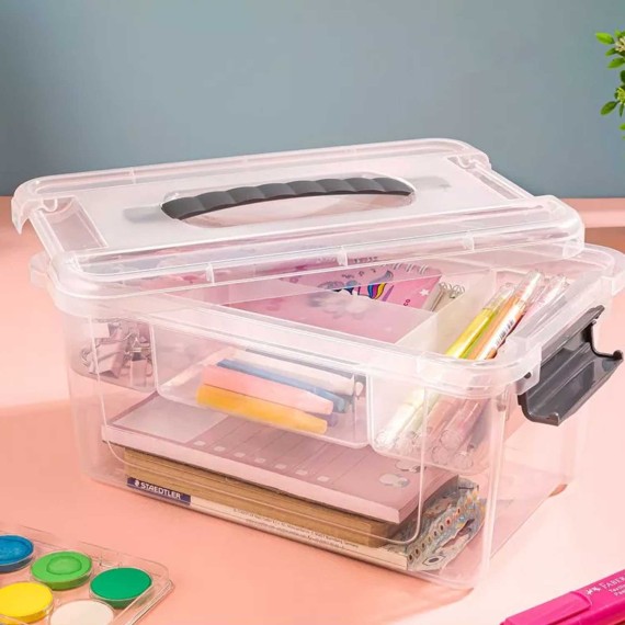 Ящики и карзины LIMON 241600  MULTI  BOX W/DIVIDER 5L (910452)