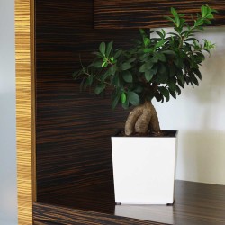 Flower pot LAMELA LA554-74 JUKA 400X400 CREAM 