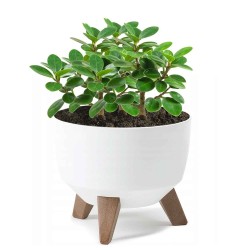 Flower pot LAMELA LA797-05 MISA ROMA 240 WHITE 