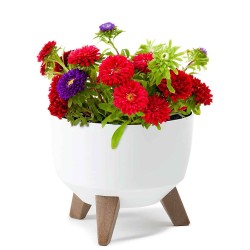 Flower pot LAMELA LA880-05 MISA ROMA 290 WHITE 