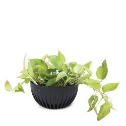 Flower pot LAMELA LA917-04 MIRA ECO RECYCLED 240 BLACK 
