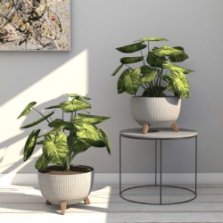 Flower pot LAMELA LA956-88 MISA ROMA JUMPER ECO RECYCLED 240 BEIGE 
