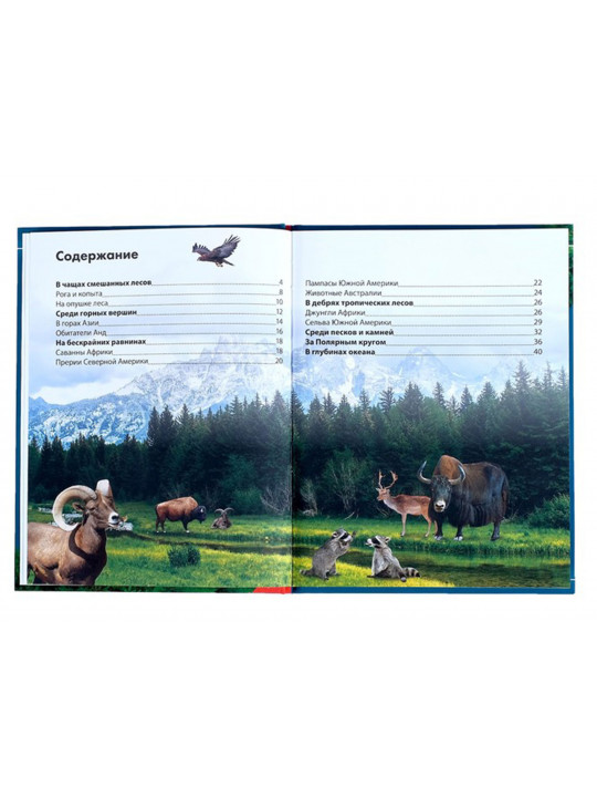 Books BUKVA-LAND Կենդանիները մանկ. Հանրագիտարան 4170820 