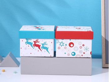 Gift boxes XIMI 6941406880091 WINTER