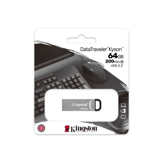 Flash drive KINGSTON DTKN/64GB 