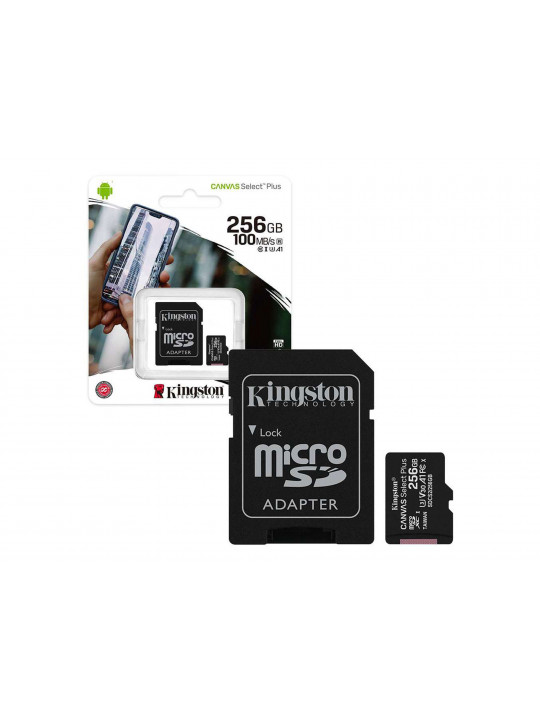 Memory card KINGSTON MICRO SD SDCS2/256GB 