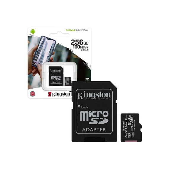 Memory card KINGSTON MICRO SD SDCS2/256GB 