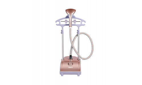 steamer aresa ar-2303