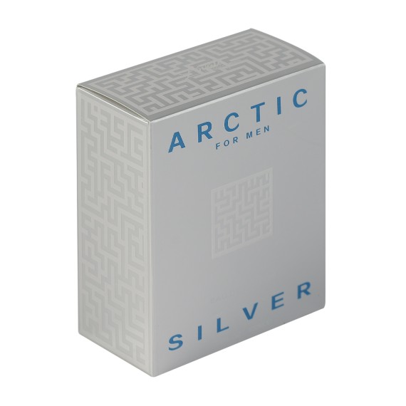 Мужские духи XIMI 840417950419 ARCTIC (950419)