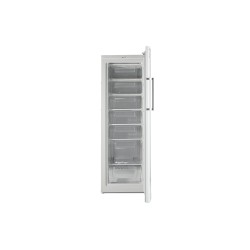 Freezer BERG BF-D212VW 