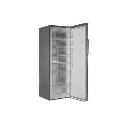 Freezer BERG BF-D212VX 