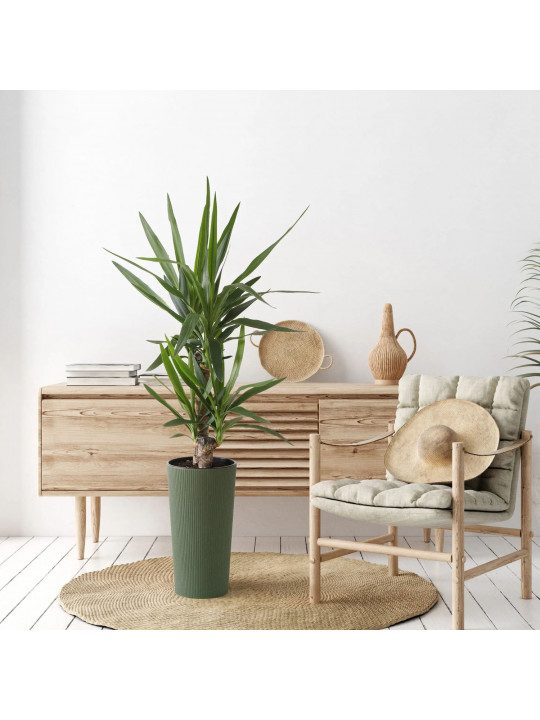 Ծաղկի զամբյուղ LAMELA LA876-42 DONICA LILIA JUMPER ECO WOOD 300 FOREST GREEN 