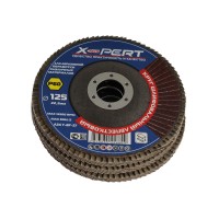 Шлифовальные лист X-PERT A24 T-BF-27 P60 125 MM 3 PCS (458863-510)