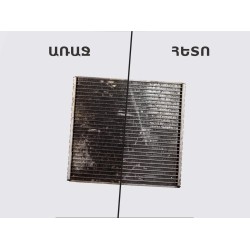 Autochemistry LAVR PROLINE CAR COOLING RADIATOR CLEANER LN2031(899437) 