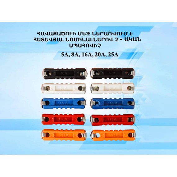 Auto accessories  AVS FUSES FC229 (803938) 