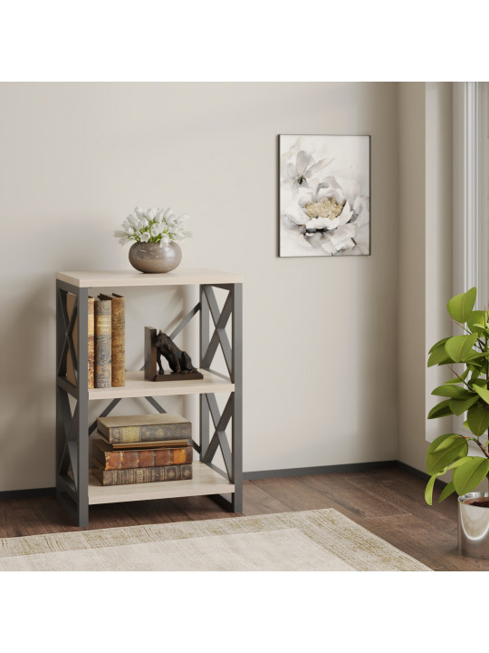 Գրապահարան և դարակաշար HOBEL LOFT-SH-139-S BLACK/ 3025 (1) 