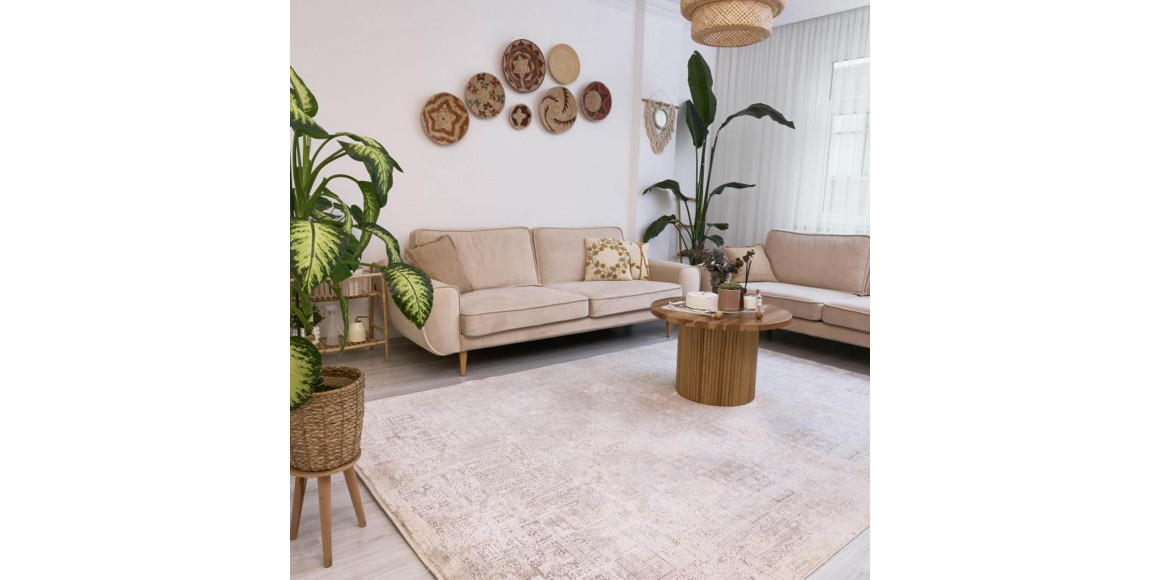 Գորգ APEX QUEEN 8101 200X300 