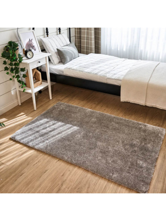 Carpet APEX VEGA GREY 090X150D 