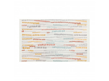 Carpet EKO HALI ARYA KILIM 34 MULTY 120X180 