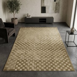 Carpet APEX ORION 4214 200X300 