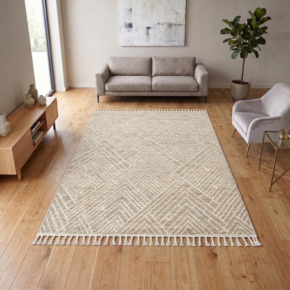 Carpet EKO HALI SOHO 14 BEIGE 200X290 