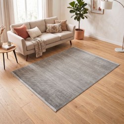 Carpet APEX TRUVA 6611 160X230 