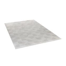 Carpet APEX TRUVA 6621 160X230 