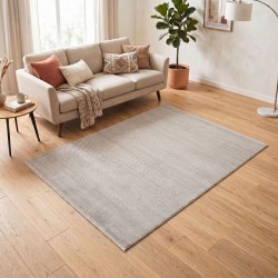 Carpet APEX TRUVA 6651 160X230 