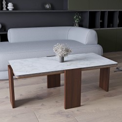 Coffee table HOBEL GILDE STONE 60X120 IVORIE LIGHT GREY/OAK PIGMENT (2) 