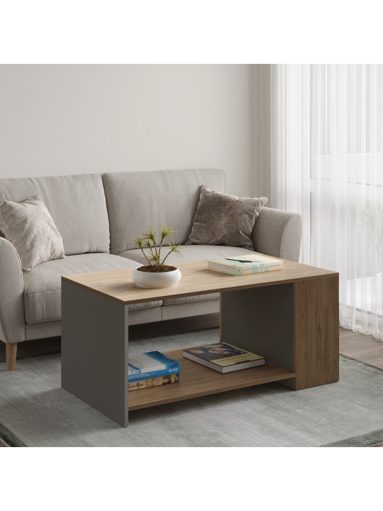 Coffee table HOBEL EX-E44 K544/BS 687 (2) 
