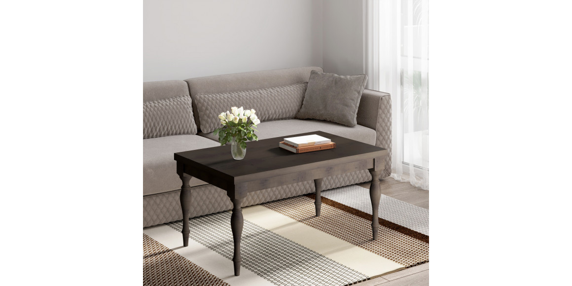 Coffee table HOBEL JANZEN CT CHOCOLATE PIGMENT (1) 
