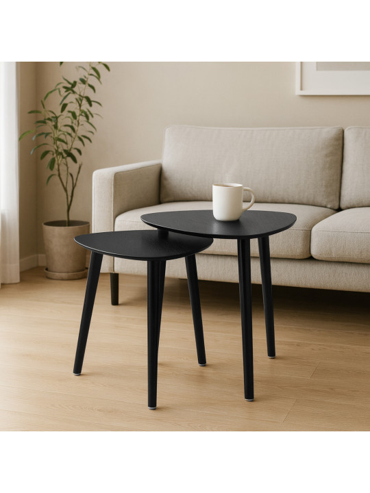 Side table KOOPMAN SET OF 2 PCS BLACK (MB4000100)