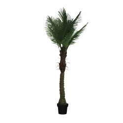 Декоративные деревья KOOPMAN ARTIFICIAL ARECA PALM 210CM (318001560)
