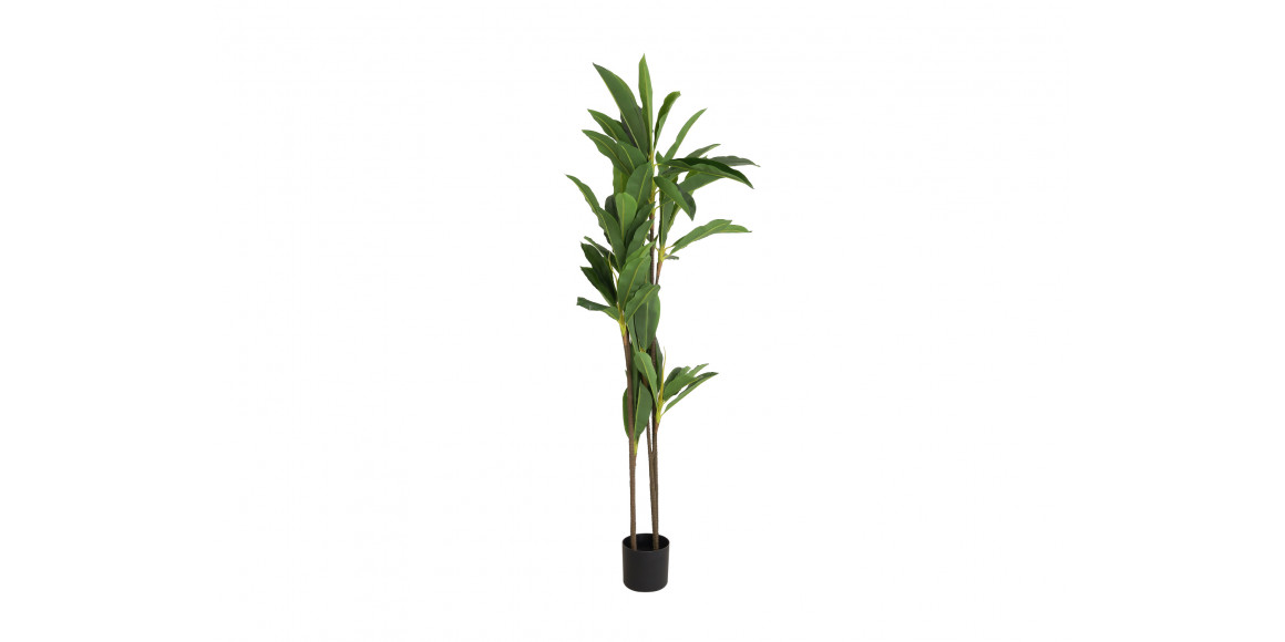 Декоративные акссесуары KOOPMAN ARTIFICIAL DRACAENA 175CM (318000870)