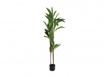 Декоративные акссесуары KOOPMAN ARTIFICIAL DRACAENA 175CM (318000870)