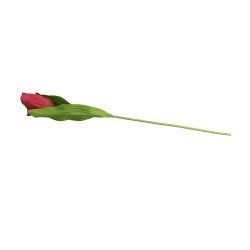 Цветы KOOPMAN ARTIFICIAL FLOWER TULIP 50CM (481601) (PL4100120)