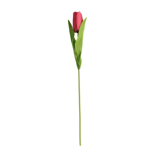 Ծաղիկներ KOOPMAN ARTIFICIAL FLOWER TULIP 50CM (481601) (PL4100120)