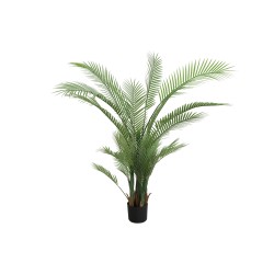 Decorative trees KOOPMAN ARTIFICIAL PALM TREE H160CM (318001020)