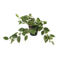 Flowers KOOPMAN ARTIFICIAL TRADESCANTIA 3ASS (318001110)