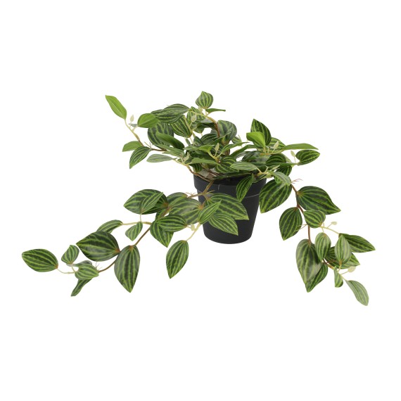 Flowers KOOPMAN ARTIFICIAL TRADESCANTIA 3ASS (318001110)