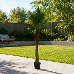 Декоративные деревья KOOPMAN ARTIFICIAL ARECA PALM 150CM (318001550)