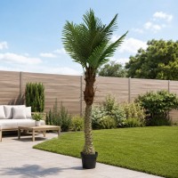 Декоративные деревья KOOPMAN ARTIFICIAL ARECA PALM 210CM (318001560)