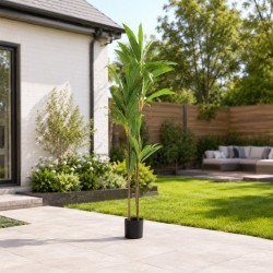 Декоративные деревья KOOPMAN ARTIFICIAL DRACAENA 175CM (318000870)