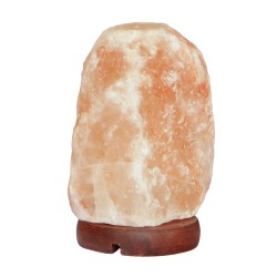 Lampshade BARRY BEAUTY SALT BULB ROCK USB 